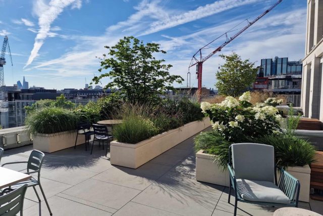 A modern London roof terrace featuring concrete planters and ornamental grasses.