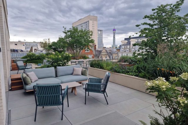 A modern London rooftop terrace displaying hydrangeas in concrete planters.