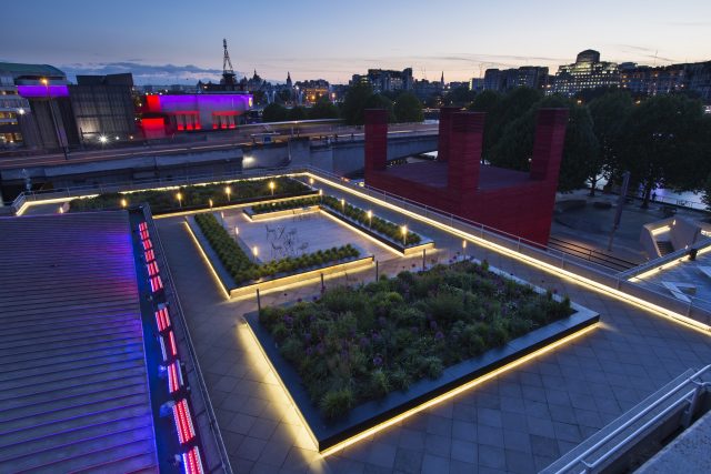 A modern London rooftop terrace with an LED planter featuring alliums and grasses.