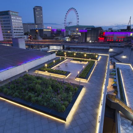 A rooftop terrace featuring LED planters and alliums on the modern South Bank.