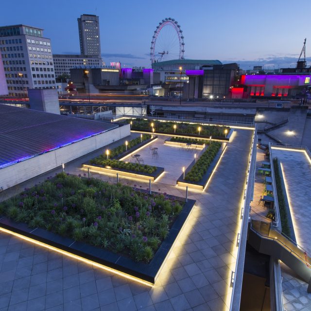 A rooftop terrace featuring LED planters and alliums on the modern South Bank.