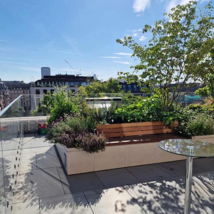 A modern rooftop terrace with a stone planter, wooden bench, and glass railing.