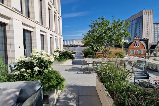 A modern urban rooftop terrace featuring stone planters and hydrangeas.