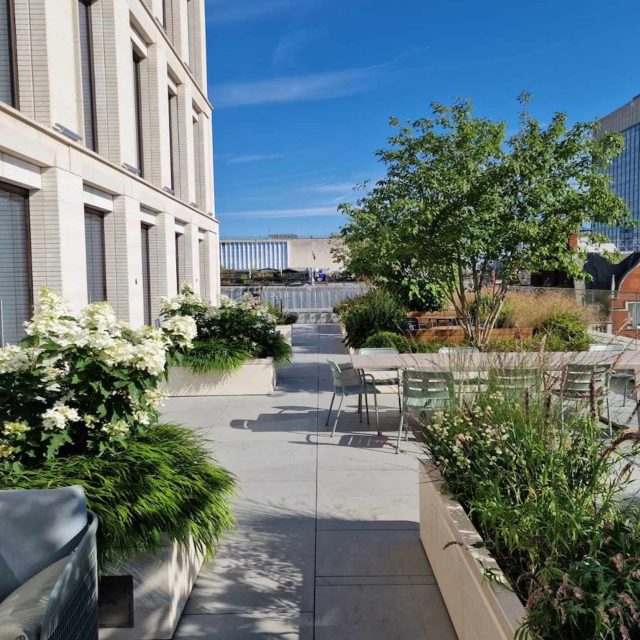 A modern urban rooftop terrace featuring stone planters and hydrangeas.