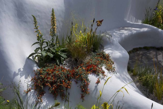 Garden Landscape Design, Pure Foundation Garden, inspired by the dramatic topography Chinese landscape design, creeping varieties, seating, bench, table, grass.