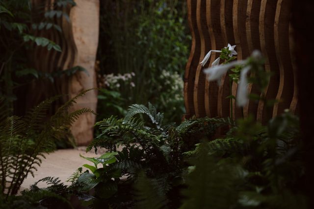 Chelsea 2021 - Silver Gilt Medal - The Boodles Secret Garden, The Garden Builders were commissioned to carry out the design of Thomas Hoblyn The Chelsea Flower.