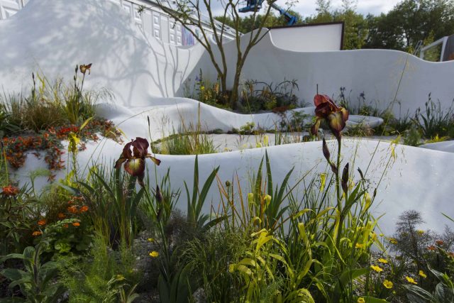 Garden Landscape Design, Pure Foundation Garden, inspired by the dramatic topography Chinese landscape design, creeping varieties, seating, bench, table, grass.
