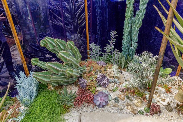 Designed by Karen Welman and John Warland & constructed by The Garden Builders, the Pearlfisher Garden for the Space To Grow category at the 2018 RHS Chelsea.