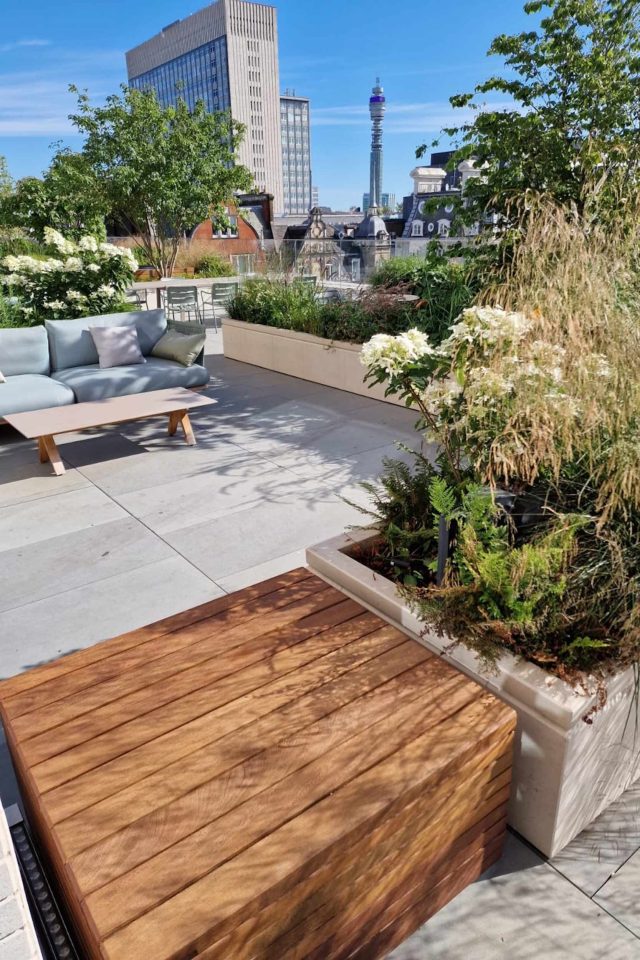 A timber slat bench sits beside a stone planter filled with ferns in modern London.