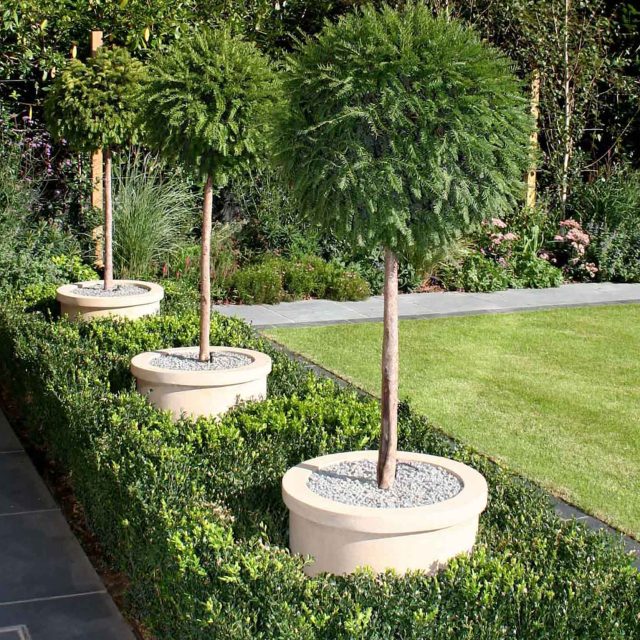 Stunning Family Garden designers Surrey APL Awards 09 Lynne Marcus Garden Design in Kingston Surrey Greater London area, water feature, sculptures, planting.