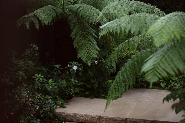 Chelsea 2021 - Silver Gilt Medal - The Boodles Secret Garden, The Garden Builders were commissioned to carry out the design of Thomas Hoblyn The Chelsea Flower.