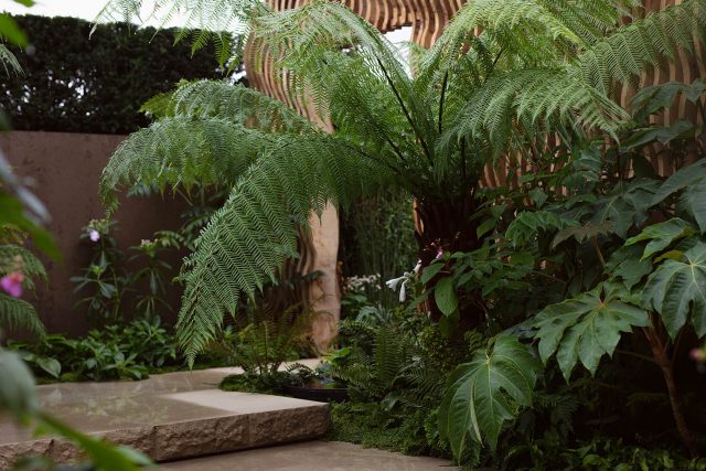 Chelsea 2021 - Silver Gilt Medal - The Boodles Secret Garden, The Garden Builders were commissioned to carry out the design of Thomas Hoblyn The Chelsea Flower.