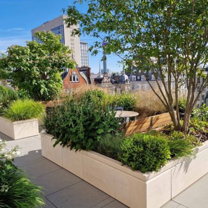 An urban rooftop garden featuring a stone planter and hydrangeas in modern London.