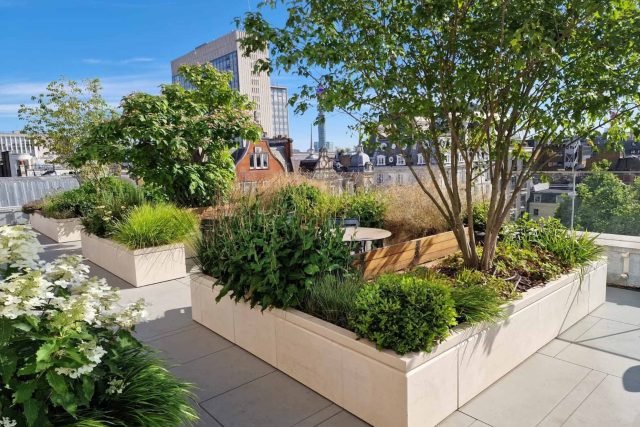 An urban rooftop garden featuring a stone planter and hydrangeas in modern London.