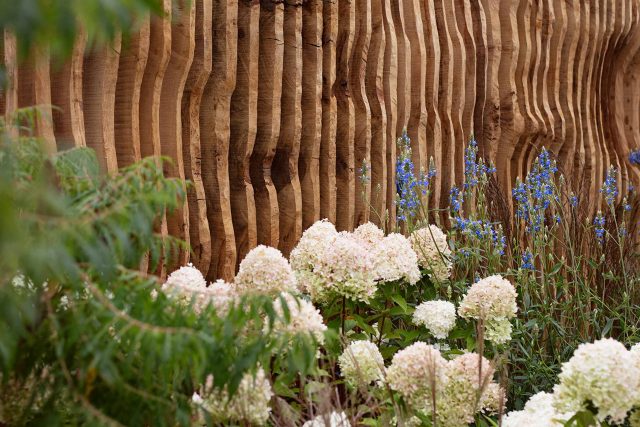 Chelsea 2021 - Silver Gilt Medal - The Boodles Secret Garden, The Garden Builders were commissioned to carry out the design of Thomas Hoblyn The Chelsea Flower.