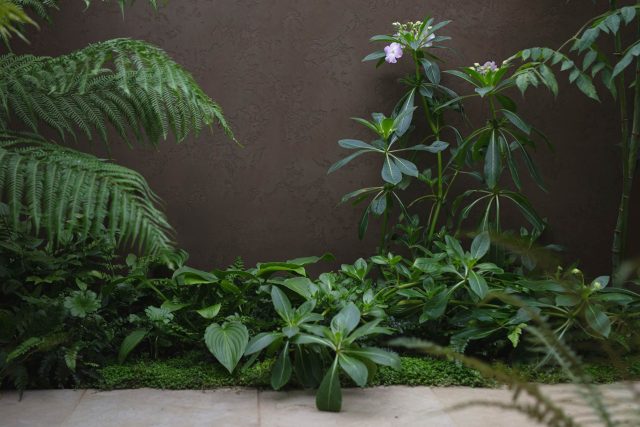 Chelsea 2021 - Silver Gilt Medal - The Boodles Secret Garden, The Garden Builders were commissioned to carry out the design of Thomas Hoblyn The Chelsea Flower.
