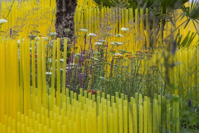 World Vision garden inspired by beauty of Cambodia, designed by John Warland, This stylised garden landscaping representation of rice cultivation reflects.