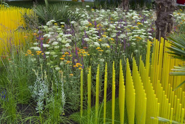 World Vision garden inspired by beauty of Cambodia, designed by John Warland, This stylised garden landscaping representation of rice cultivation reflects.