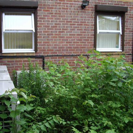 Courtyard garden for NHS GP Practice Balham Surgery south London with water feature and lighting, landscaping consultant contractors lighting, planting.