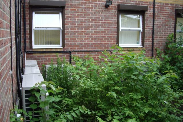 Courtyard garden for NHS GP Practice Balham Surgery south London with water feature and lighting, landscaping consultant contractors lighting, planting.