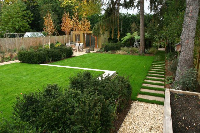 Epsom, Surrey landscaped garden lawn, minimalist design with pebble border and Birch trees, Ewell, Surrey contractor specialists, lawns, pathways, driveways.