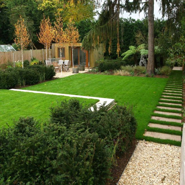 Epsom, Surrey landscaped garden lawn, minimalist design with pebble border and Birch trees, Ewell, Surrey contractor specialists, lawns, pathways, driveways.