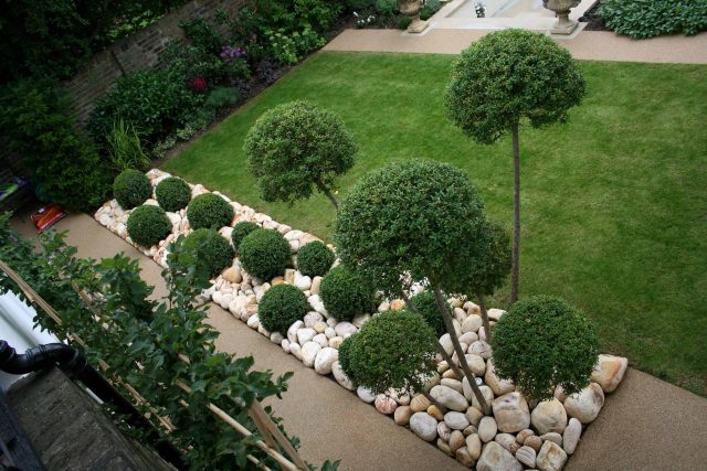 Contemporary garden with formal planting design with resin bonded gravel paths, St Johns Wood, modern family garden accentuated by formal planting, resin path.