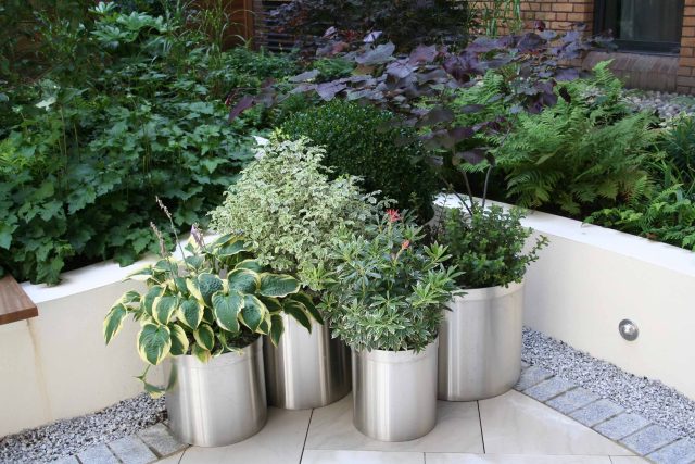 Courtyard style Garden for Private BankStride Stride Treglown Architects and constructed by Garden Builders commercial landscape designers specialists London.