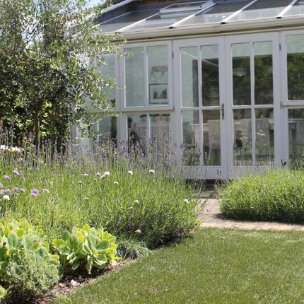 Lavender borders a conservatory and an artificial lawn in a luxury Wimbledon garden.