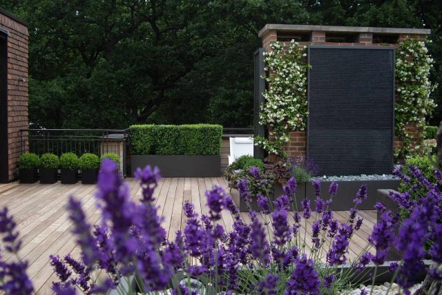 Roof Terrace design in Highgate a bespoke contemporary space with sleek bespoke slate water features steel planters planting olive tree horticulturalist.