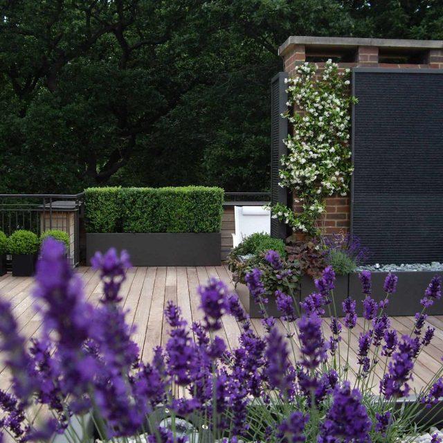 Roof Terrace design in Highgate a bespoke contemporary space with sleek bespoke slate water features steel planters planting olive tree horticulturalist.