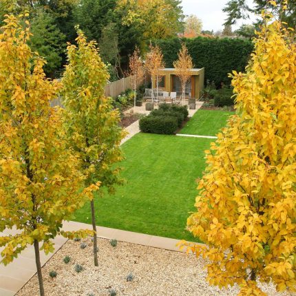 Epsom, Surrey landscaped garden lawn, minimalist design with pebble border and Birch trees, Ewell, Surrey contractor specialists, lawns, pathways, driveways.