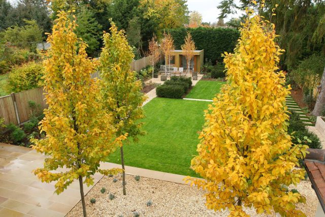 Epsom, Surrey landscaped garden lawn, minimalist design with pebble border and Birch trees, Ewell, Surrey contractor specialists, lawns, pathways, driveways.
