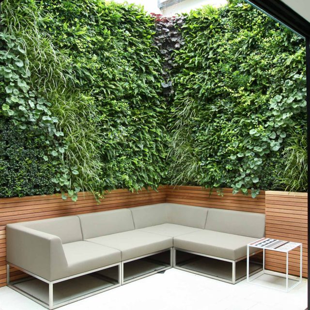 Small city garden in Islington designed by award winning The Garden Builders of London, design consultants specialists featuring a lush living green wall.