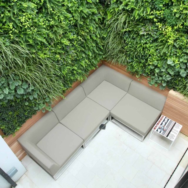 Small city garden in Islington designed by award winning The Garden Builders of London, design consultants specialists featuring a lush living green wall.
