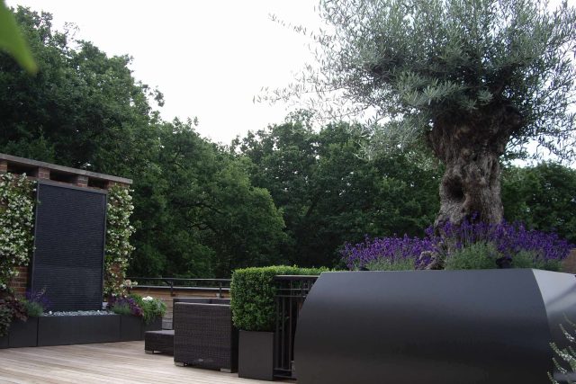 Roof Terrace design in Highgate a bespoke contemporary space with sleek bespoke slate water features steel planters planting olive tree horticulturalist.