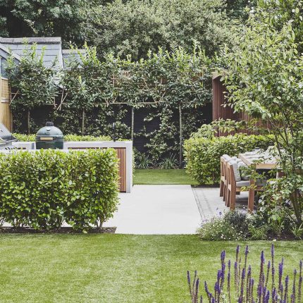 Garden Design Balham South West London Garden Designer Landscape Contractor, complimentary small city garden planting scheme also consisted of roses easigrass.