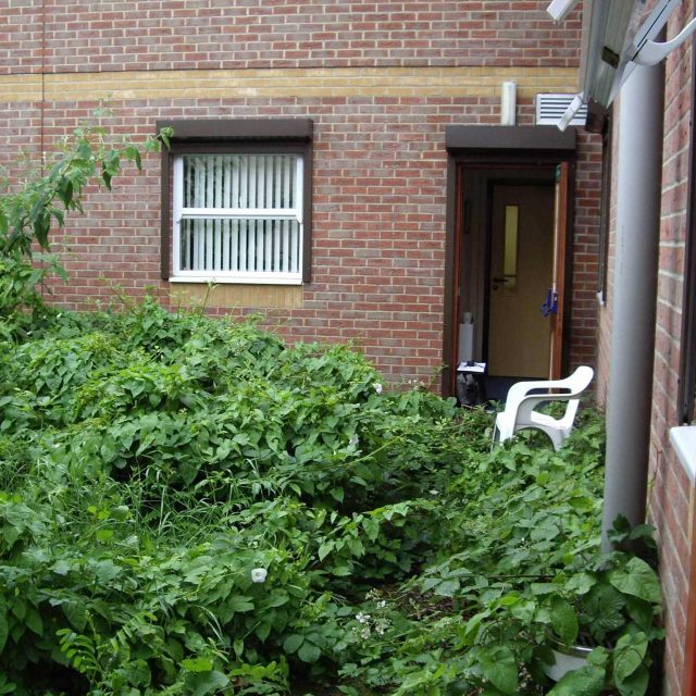 Courtyard garden for NHS GP Practice Balham Surgery south London with water feature and lighting, landscaping consultant contractors lighting, planting.