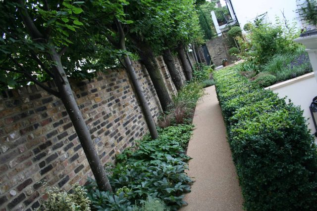 Contemporary garden with formal planting design with resin bonded gravel paths, St Johns Wood, modern family garden accentuated by formal planting, resin path.