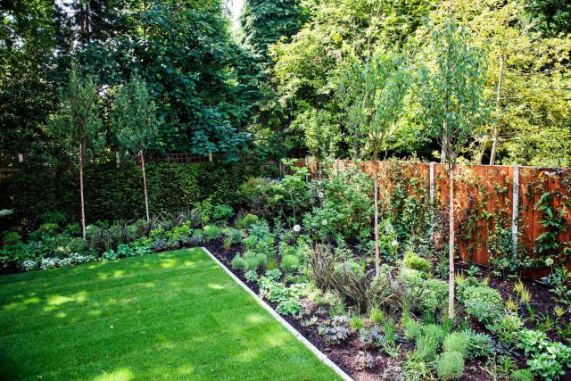 Large garden using Portland stone and steel planters in Hampstead by designer Lynne Marcus, excavation construction hard landscaping specialist in London.