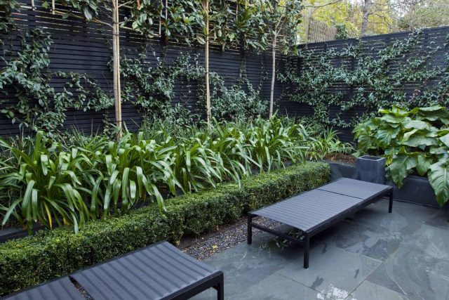 Uncomplicated Contemporary Design in Kensington London designed by award winning Declan Buckley, attractive design terrace entertaining relaxation zone planting.