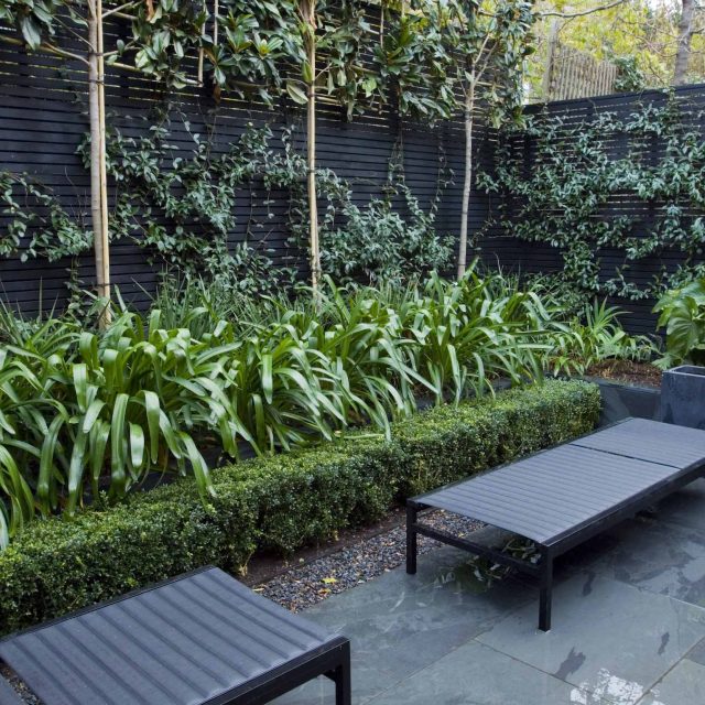Uncomplicated Contemporary Design in Kensington London designed by award winning Declan Buckley, attractive design terrace entertaining relaxation zone planting.