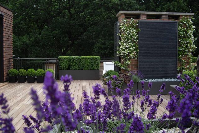 Roof Terrace design in Highgate a bespoke contemporary space with sleek bespoke slate water features steel planters planting olive tree horticulturalist.