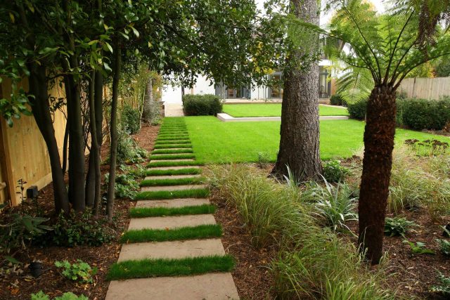 Epsom, Surrey landscaped garden lawn, minimalist design with pebble border and Birch trees, Ewell, Surrey contractor specialists, lawns, pathways, driveways.
