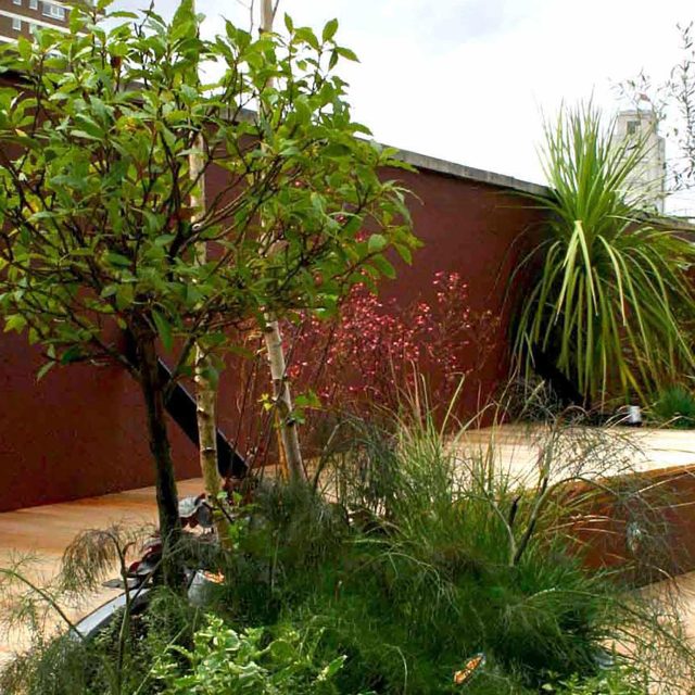 Stylish seating roof garden terrace in Pimlico Victoria SW1 London designs includes striking use of colour Minimal yet clever planting, use of colour, seating.