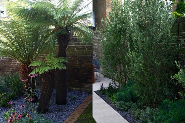 Modern Family Garden in Battersea with patio lighting planting and machined sandstone pathway specialist company stone work, planting herbaceous perennials.