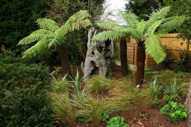 Epsom, Surrey landscaped garden lawn, minimalist design with pebble border and Birch trees, Ewell, Surrey contractor specialists, lawns, pathways, driveways.