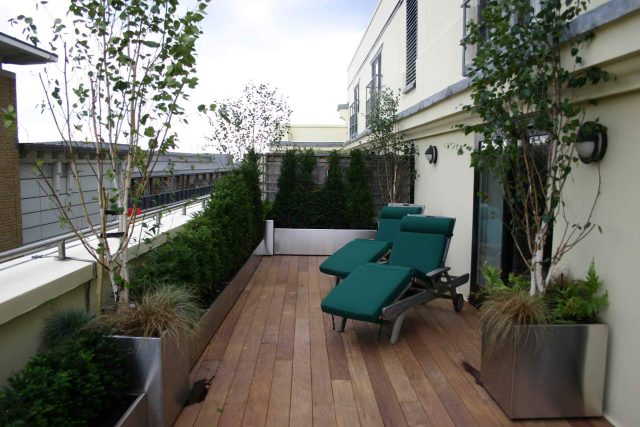 Tower Bridge roof garden terrace design view over the Thames and Bridge in London, huge stainless steel water, robust planting, curved Yew hedge LED lighting.