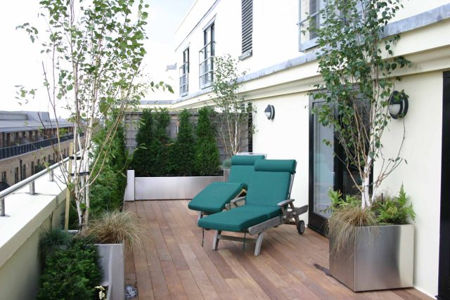 Tower Bridge roof garden terrace design view over the Thames and Bridge in London, huge stainless steel water, robust planting, curved Yew hedge LED lighting.