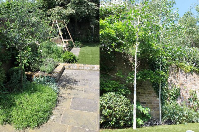 Yorkstone paving and a reclaimed brick wall surround a silver birch and a swing.